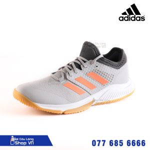 Giày cầu lông Adidas Court Team Bounce M xám