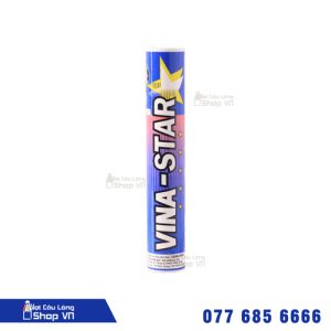Ống cầu lông Vinastar