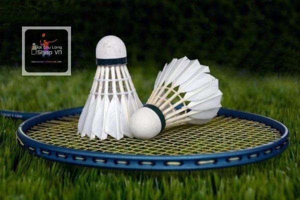 Cước cầu lông là điểm chạm trực tiếp với cầu