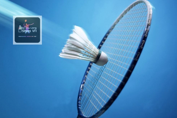 Dây cước cầu lông có quan trọng?