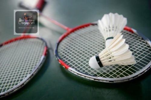 Vợt cầu lông giá rẻ cho học sinh