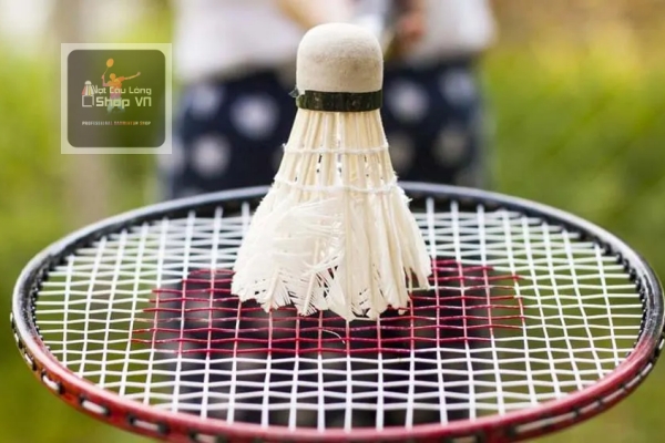 Cấu trúc vợt cầu lông