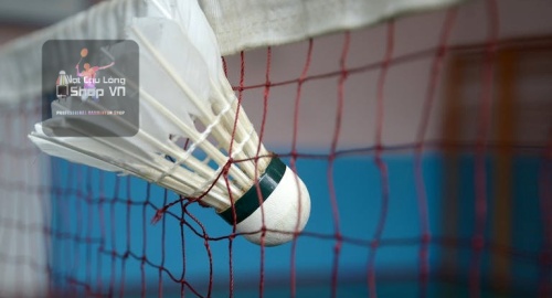 loại cầu lông nào tốt nhất?